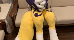 How 2 hide your renamon